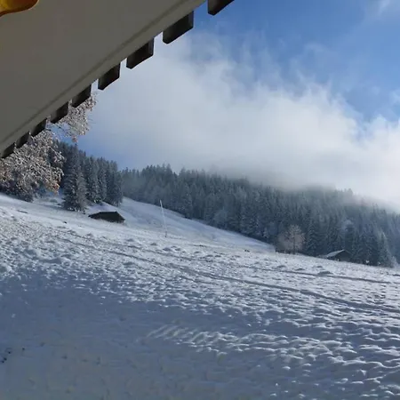 Studio rez de chaussée avec vue Dents du Midi *